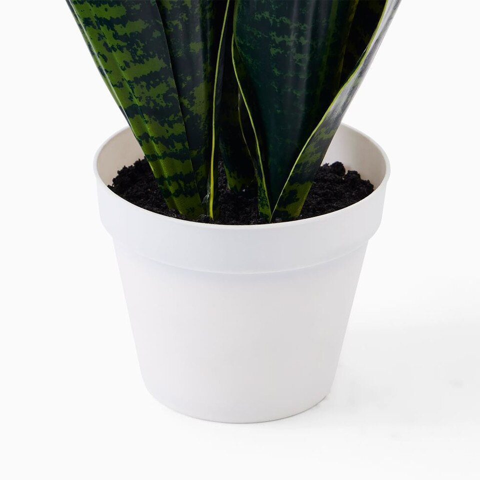 Faux Snake Plant West Elm Australia